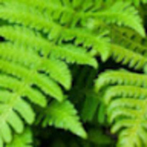 Meet your Posher, Julian